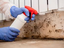 Best Mold Removal for HVAC Installations  in USA